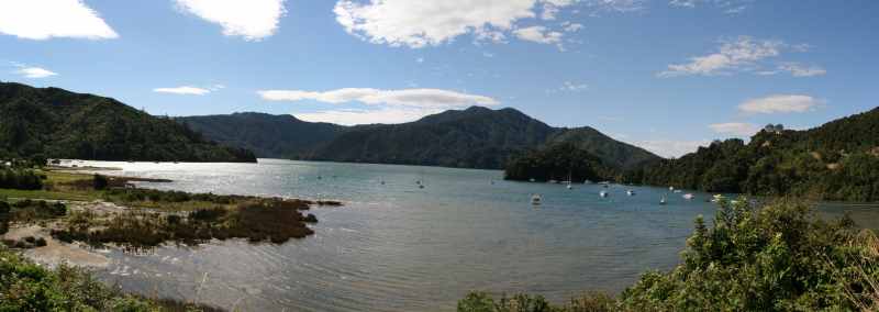 Nieuw-Zeeland 2011 - 0946